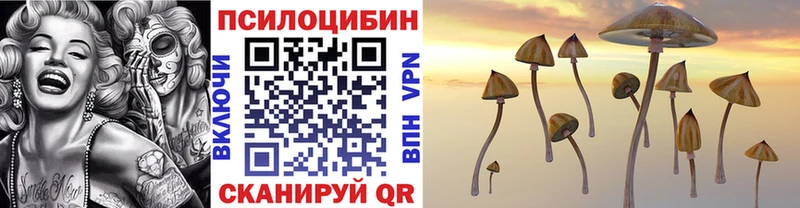 Галлюциногенные грибы Cubensis  где купить наркоту  Никольск 